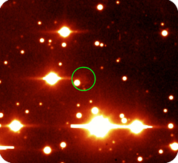 echo_caha_colour_small echo_caha_colour_small